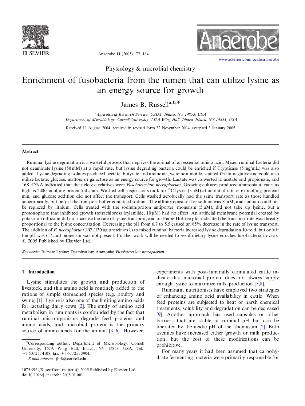 Enrichment of fusobacteria from the rumen that can utilize lysine as an energy source for growth