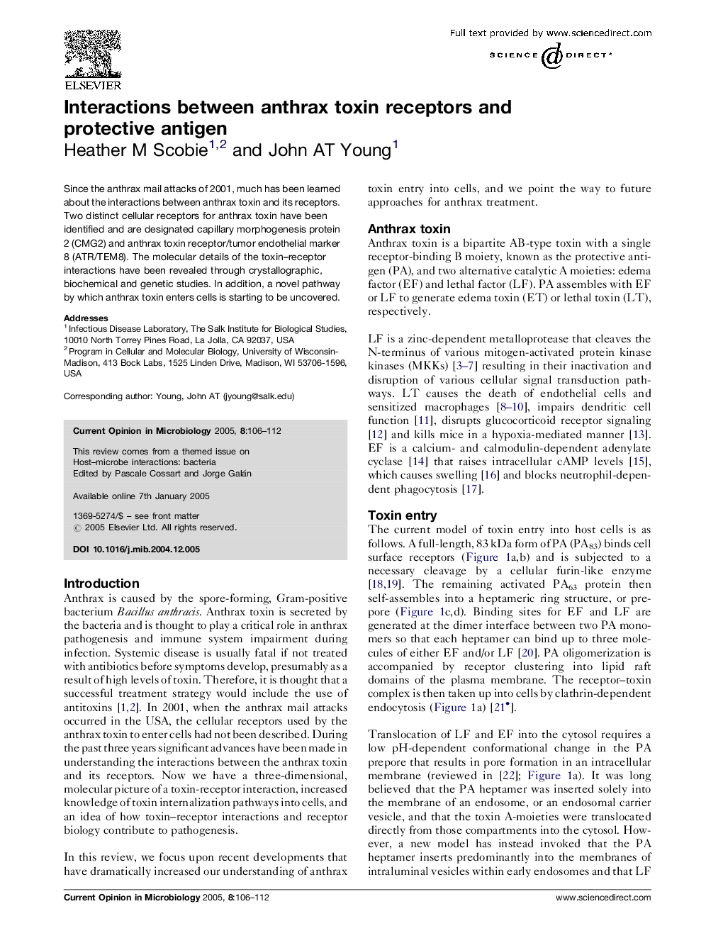 Interactions between anthrax toxin receptors and protective antigen