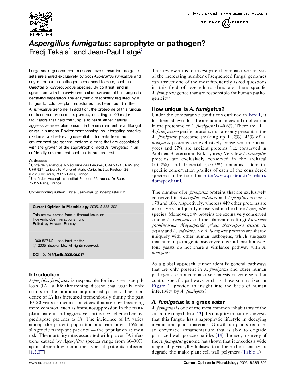 Aspergillus fumigatus: saprophyte or pathogen?