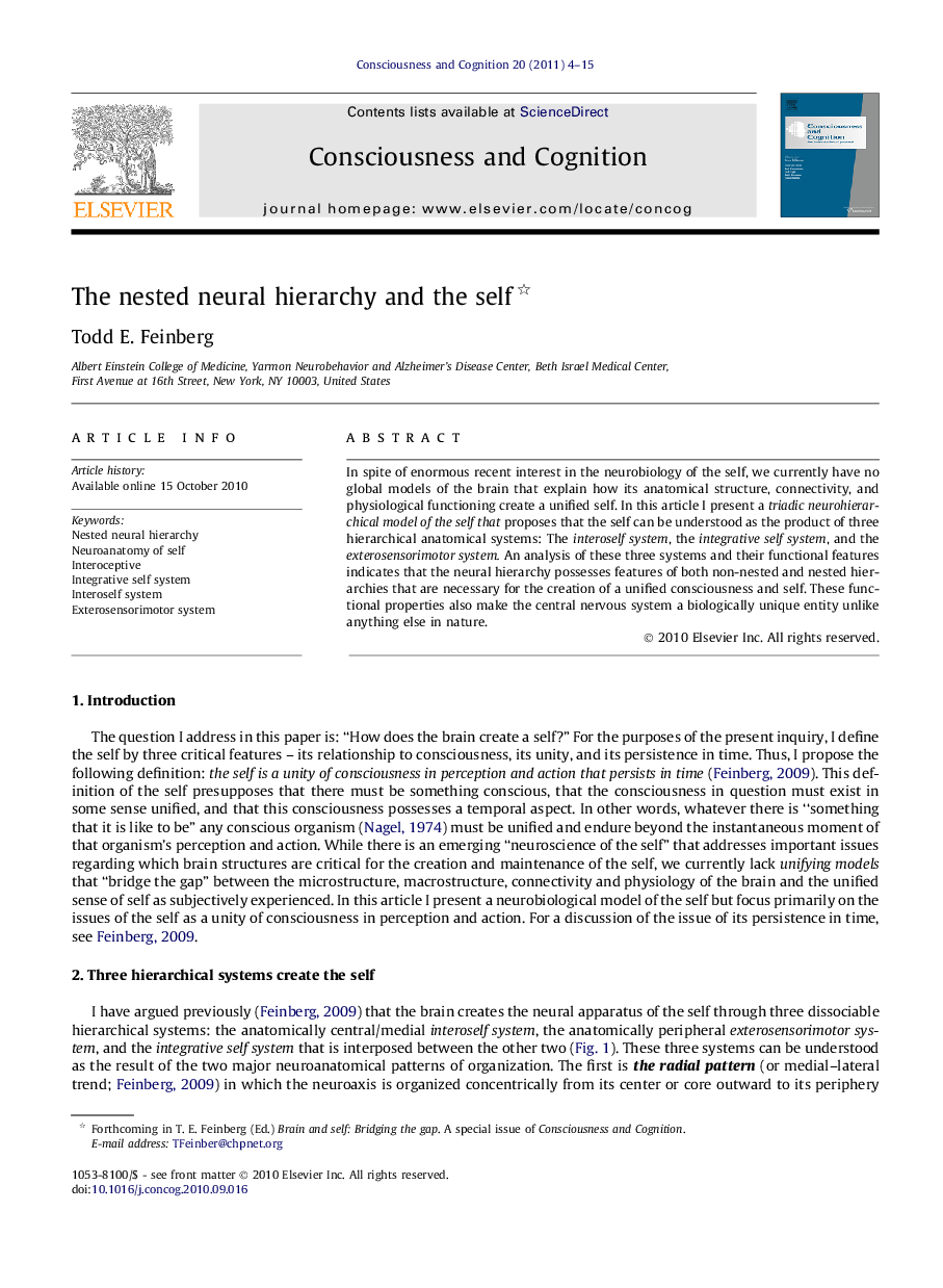 The nested neural hierarchy and the self 