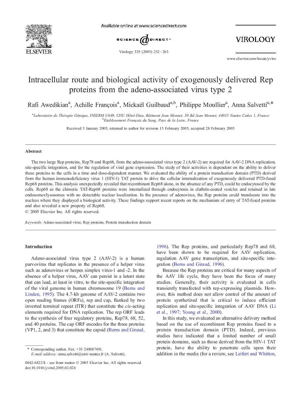 Intracellular route and biological activity of exogenously delivered Rep proteins from the adeno-associated virus type 2