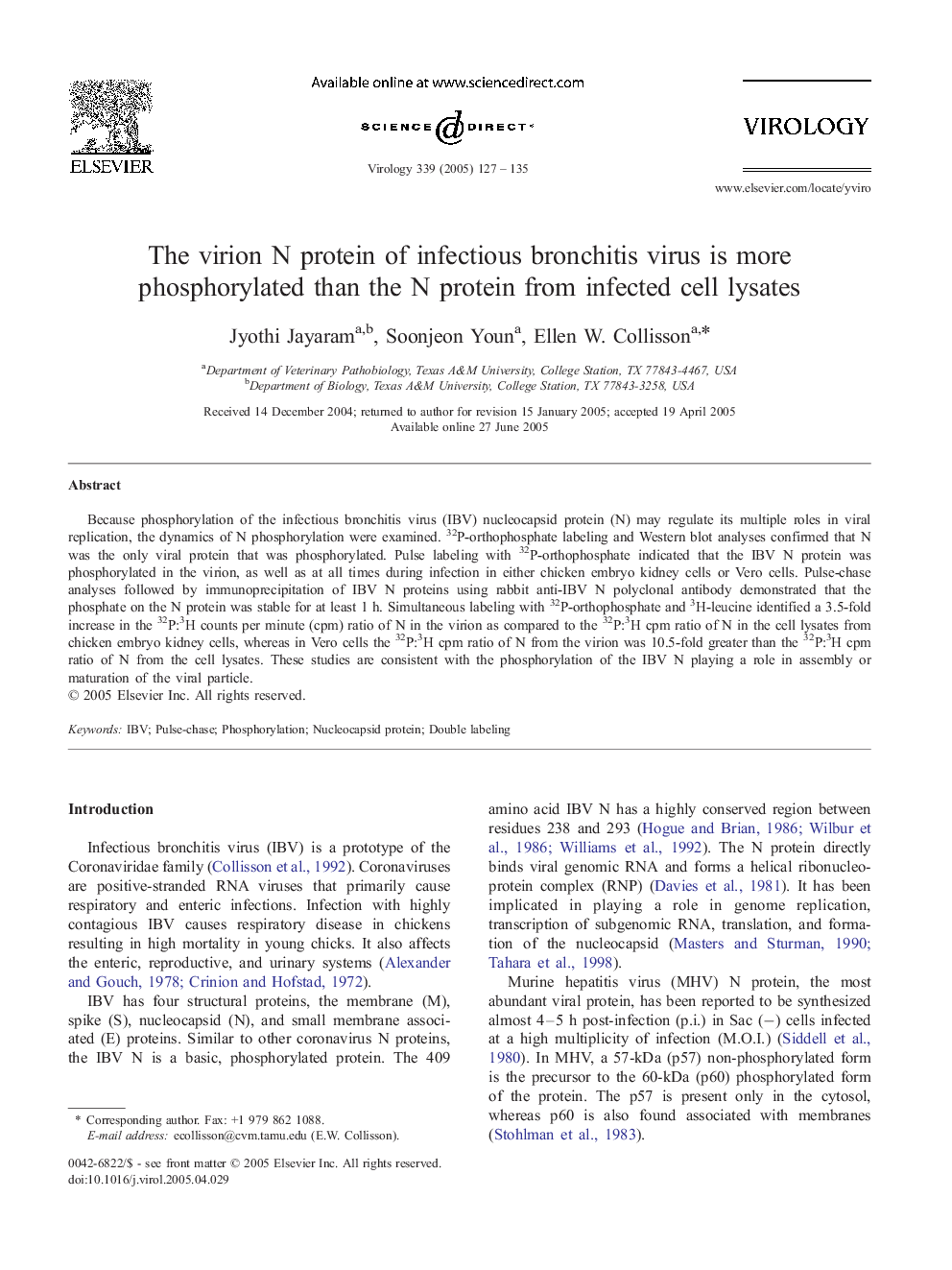 The virion N protein of infectious bronchitis virus is more phosphorylated than the N protein from infected cell lysates