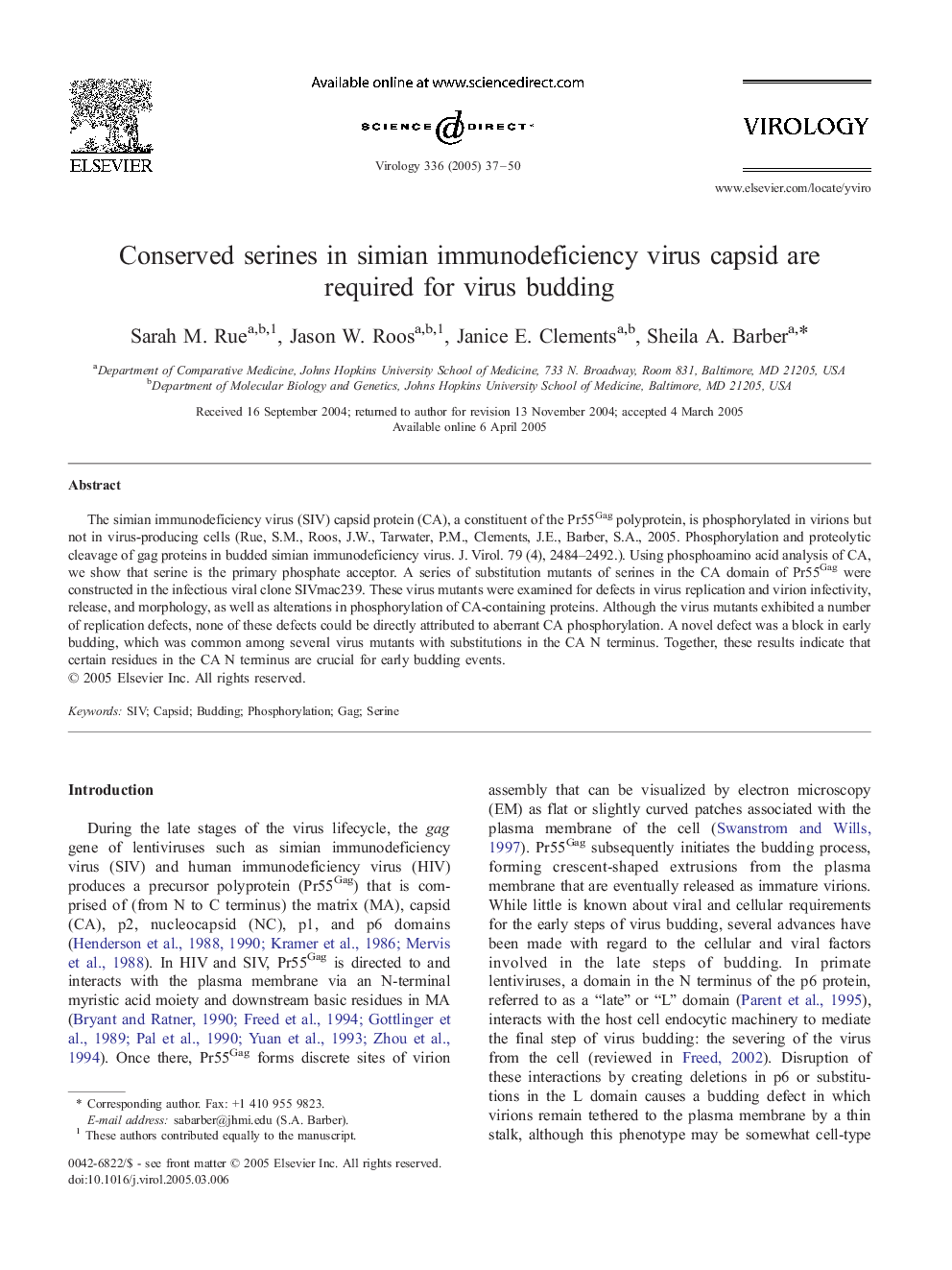 Conserved serines in simian immunodeficiency virus capsid are required for virus budding