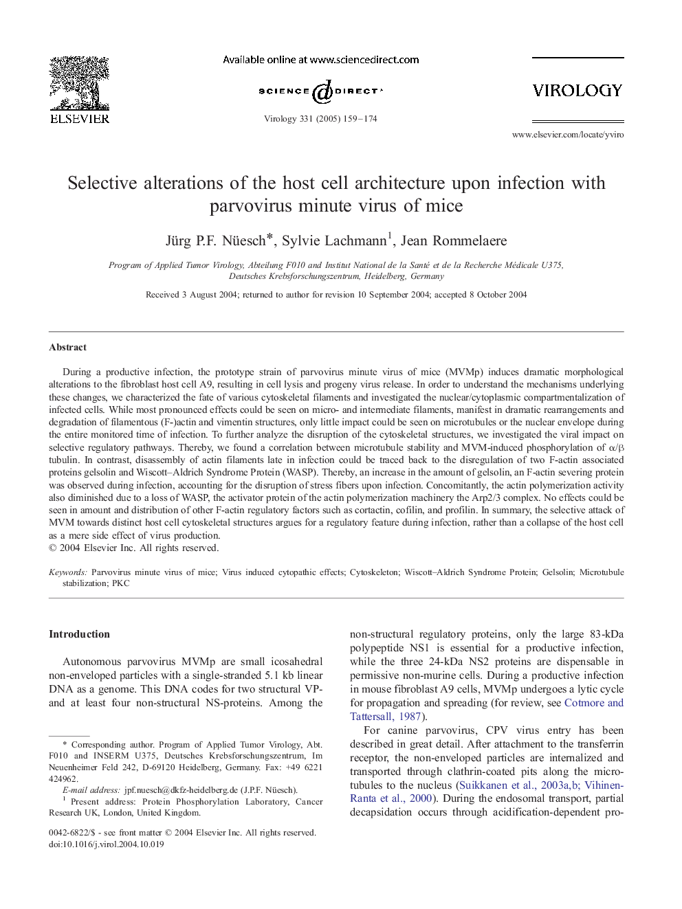 Selective alterations of the host cell architecture upon infection with parvovirus minute virus of mice