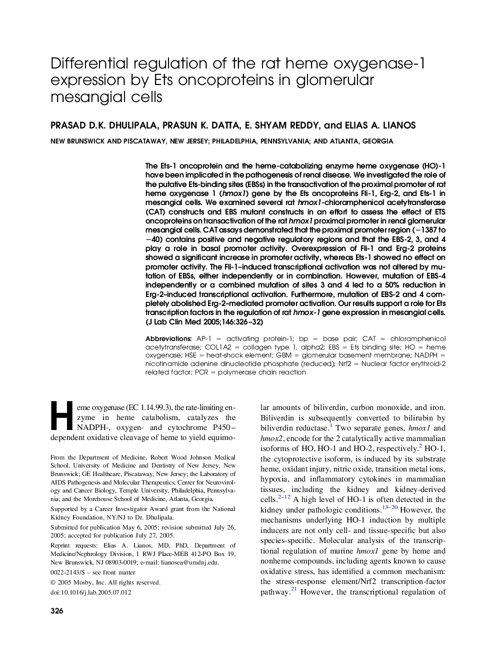 Differential regulation of the rat heme oxygenase-1 expression by Ets oncoproteins in glomerular mesangial cells