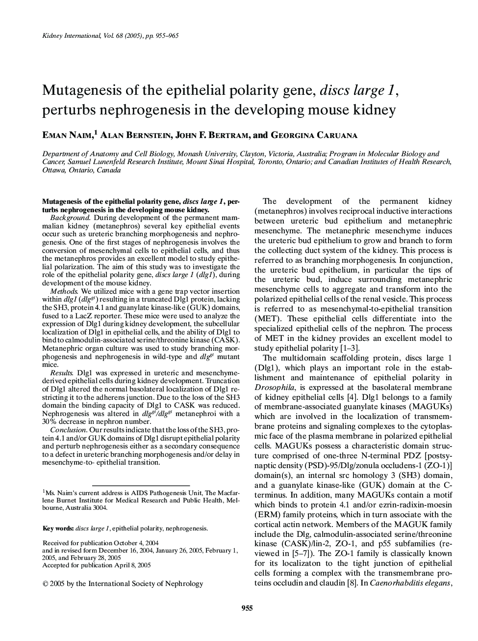 Mutagenesis of the epithelial polarity gene, discs large 1, perturbs nephrogenesis in the developing mouse kidney