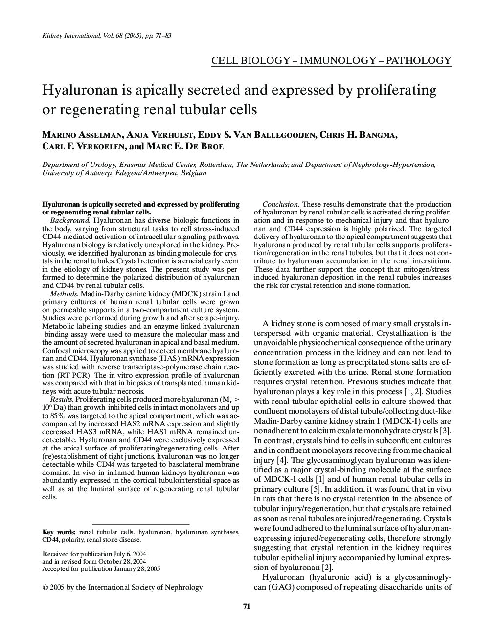 Hyaluronan is apically secreted and expressed by proliferating or regenerating renal tubular cells