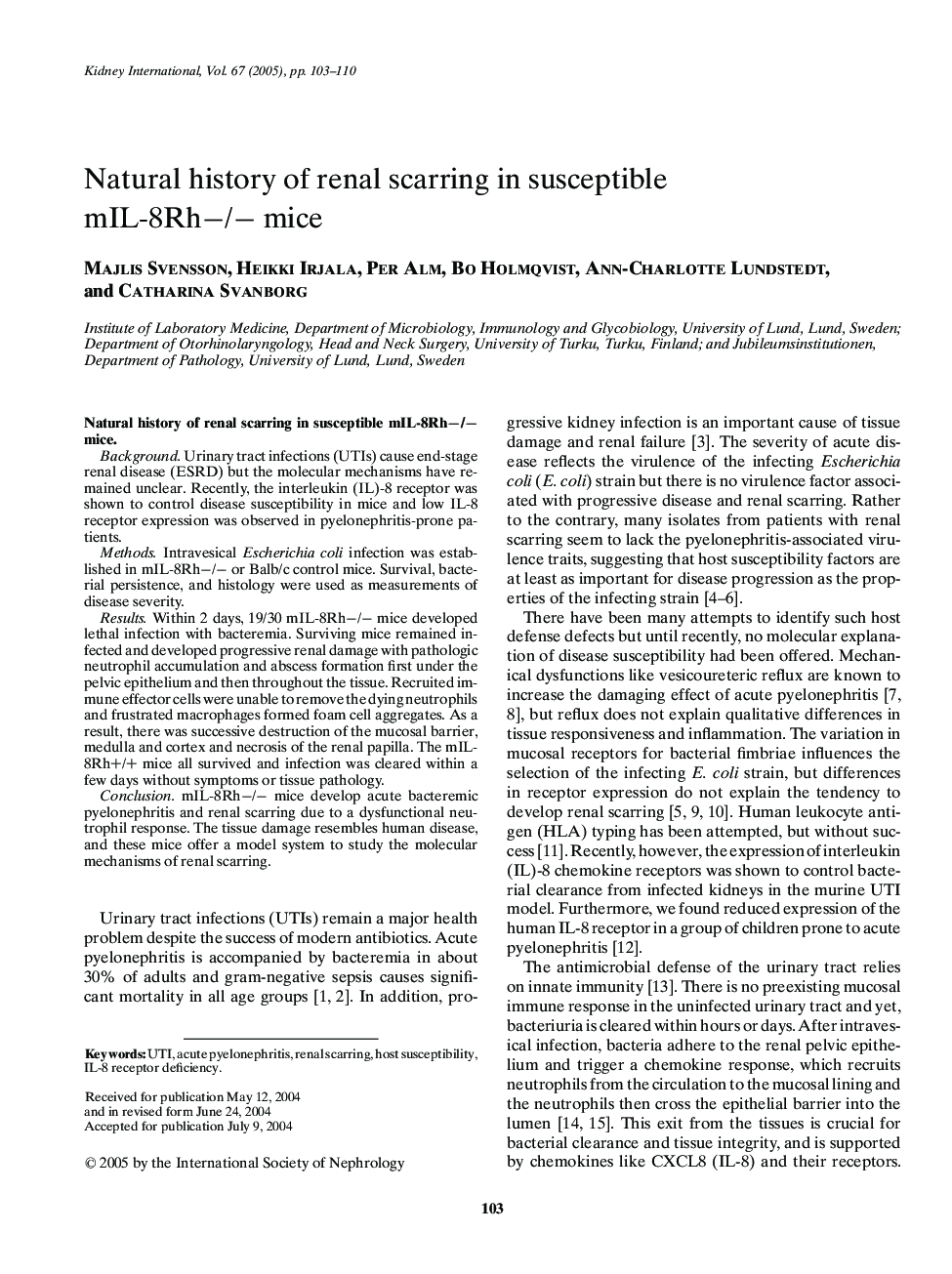 Natural history of renal scarring in susceptible mIL-8Rh-/- mice