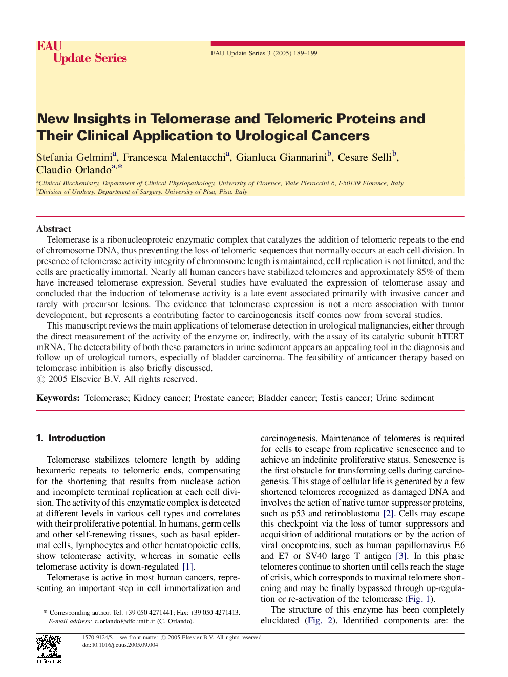 New Insights in Telomerase and Telomeric Proteins and Their Clinical Application to Urological Cancers