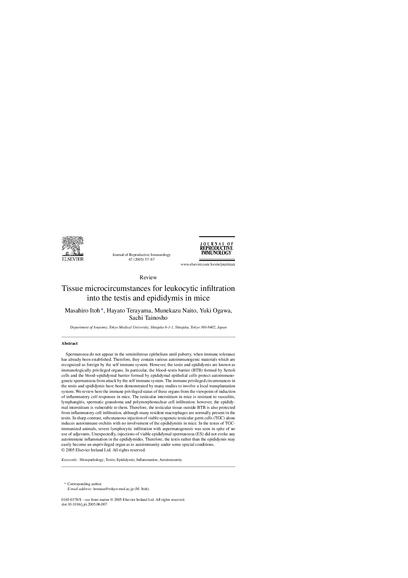 عکس صفحه اول مقاله: Tissue microcircumstances for leukocytic infiltration into the testis and epididymis in mice Tissue microcircumstances for leukocytic infiltration into the testis and epididymis in mice