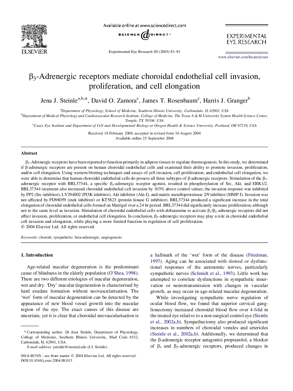 Î²3-Adrenergic receptors mediate choroidal endothelial cell invasion, proliferation, and cell elongation