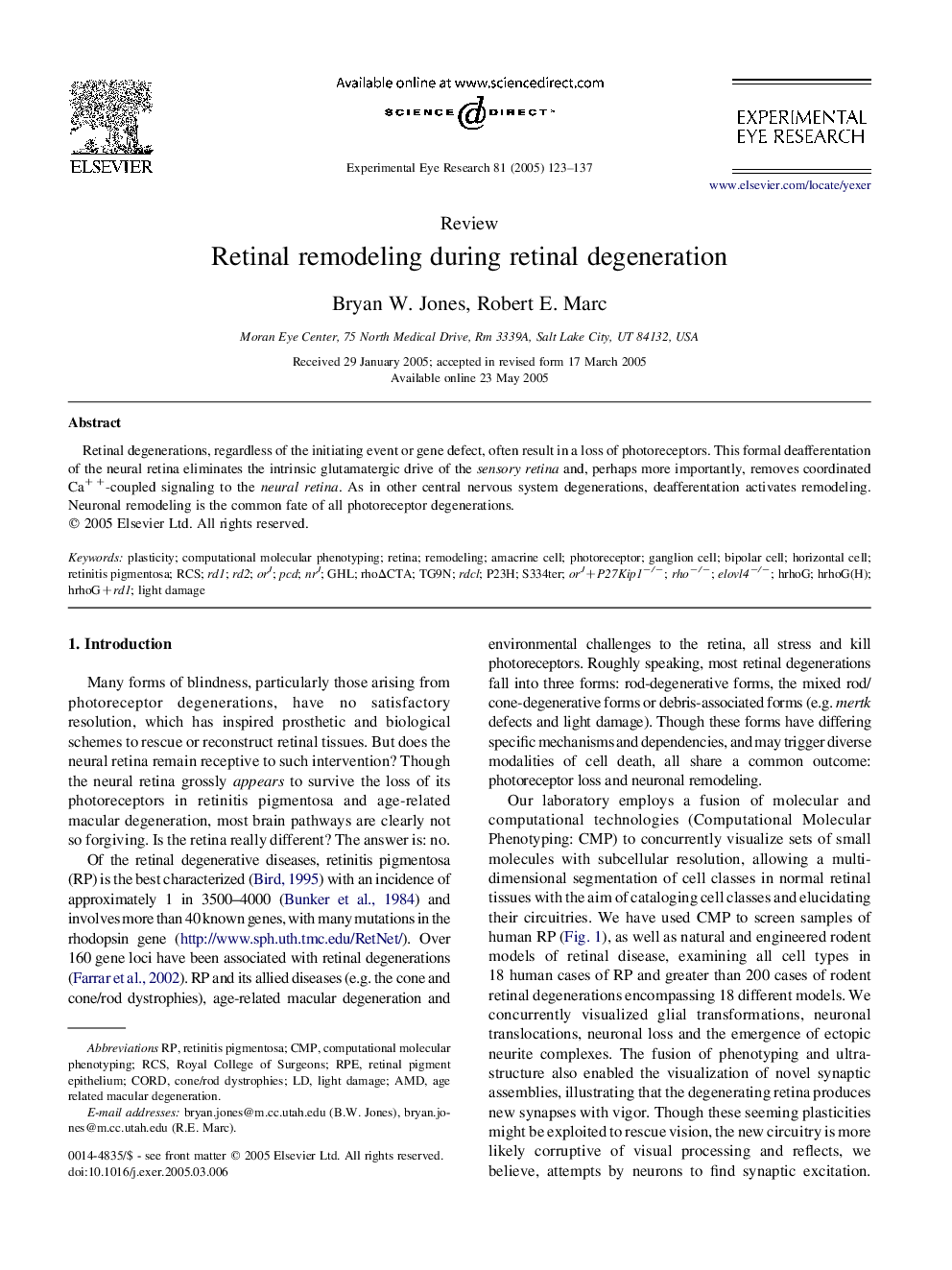 Retinal remodeling during retinal degeneration