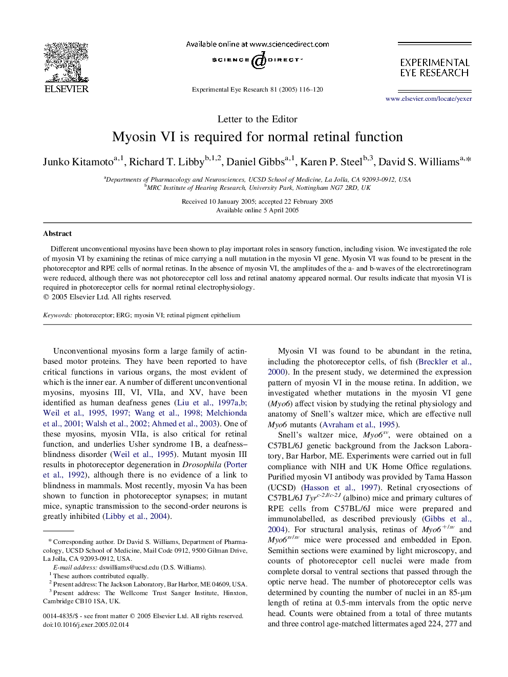 Myosin VI is required for normal retinal function