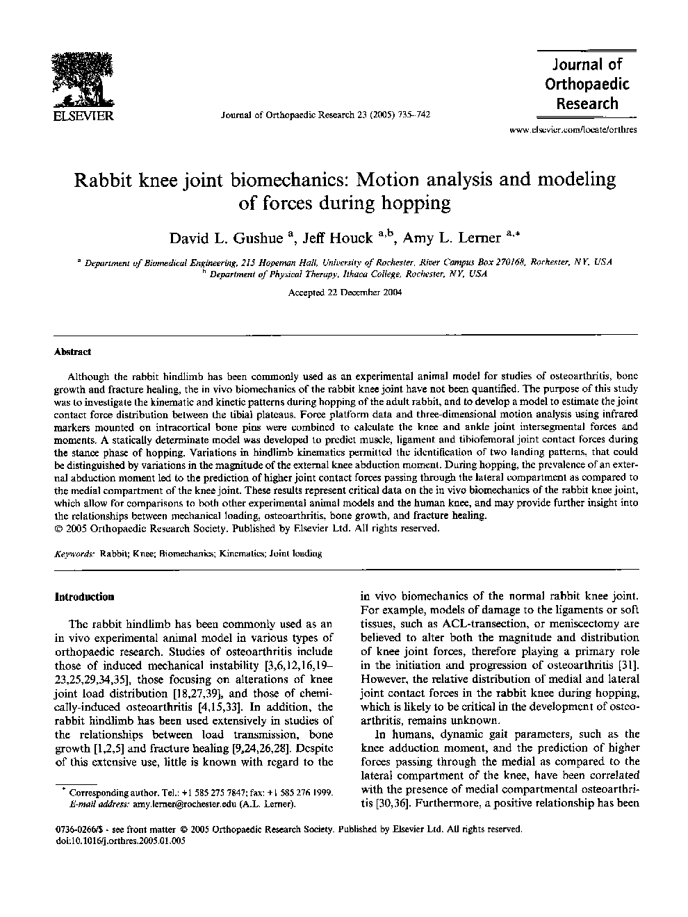 Rabbit knee joint biomechanics: Motion analysis and modeling of forces during hopping