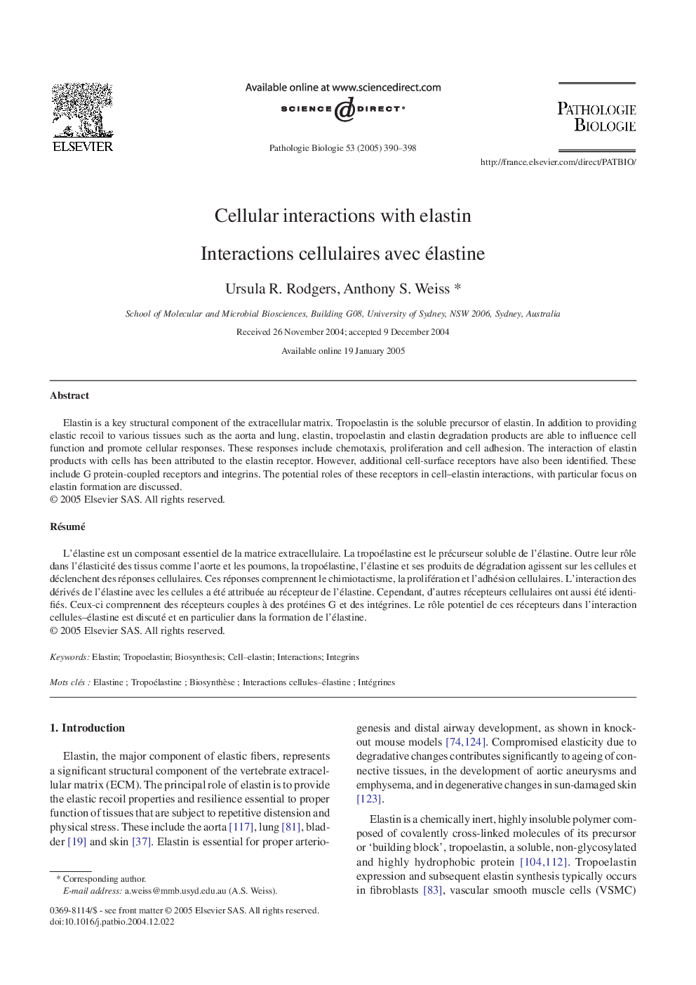 Cellular interactions with elastin