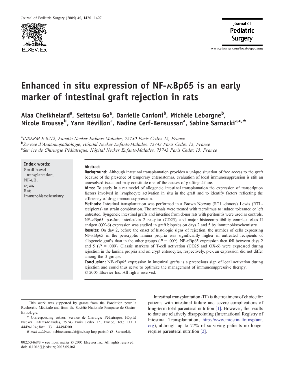 Enhanced in situ expression of NF-ÎºBp65 is an early marker of intestinal graft rejection in rats