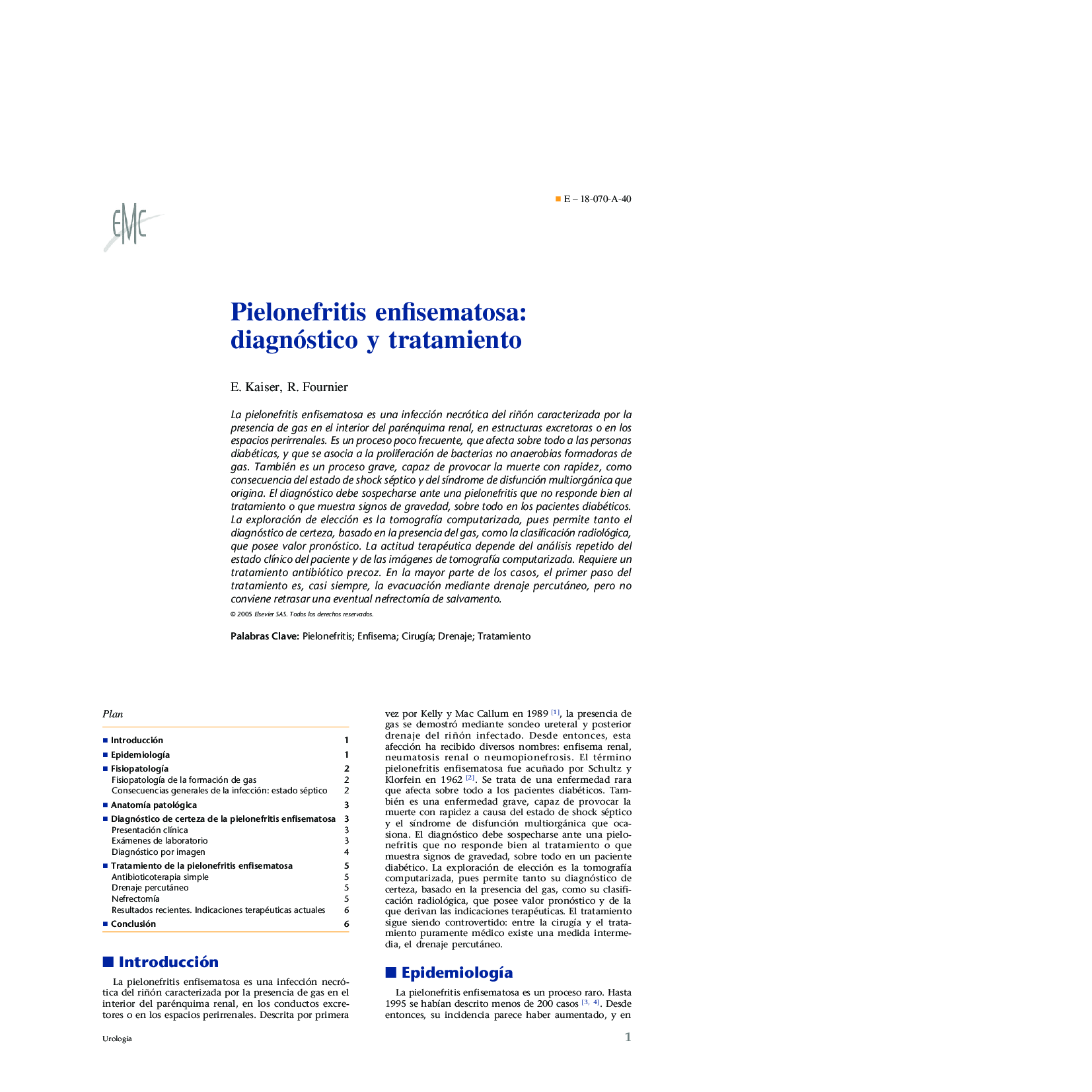 Pielonefritis enfisematosa: diagnóstico y tratamiento