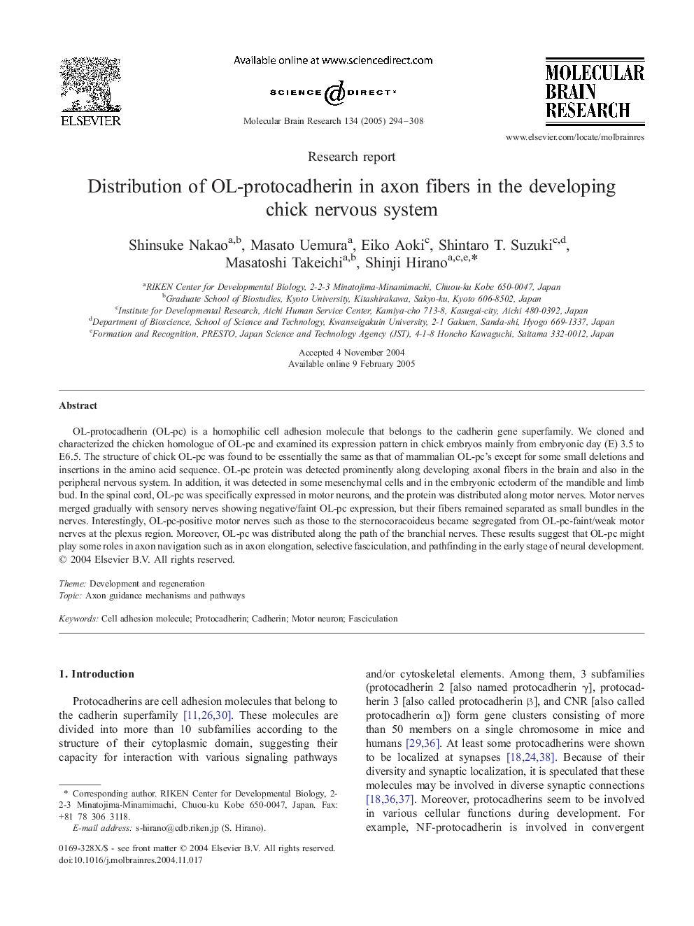 Distribution of OL-protocadherin in axon fibers in the developing chick nervous system