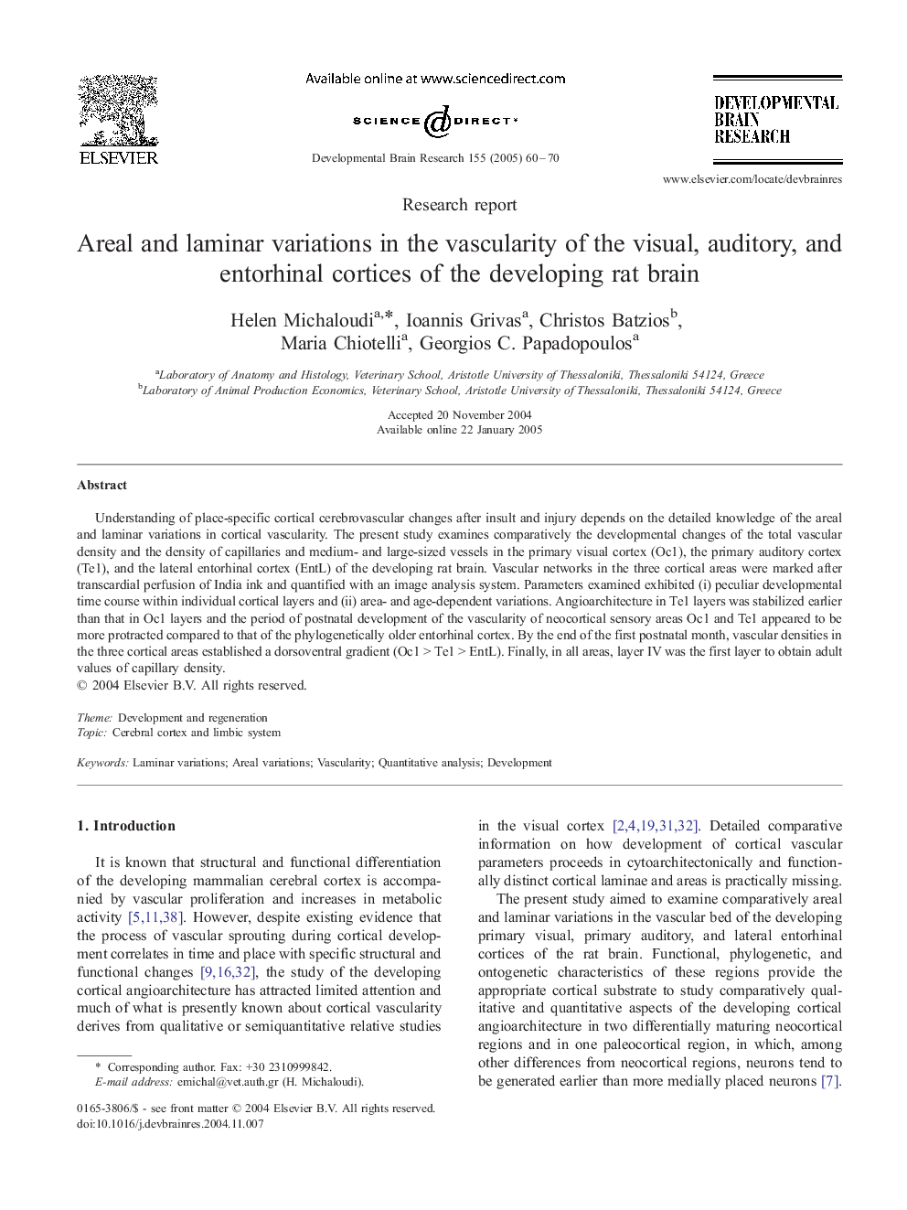 Areal and laminar variations in the vascularity of the visual, auditory, and entorhinal cortices of the developing rat brain