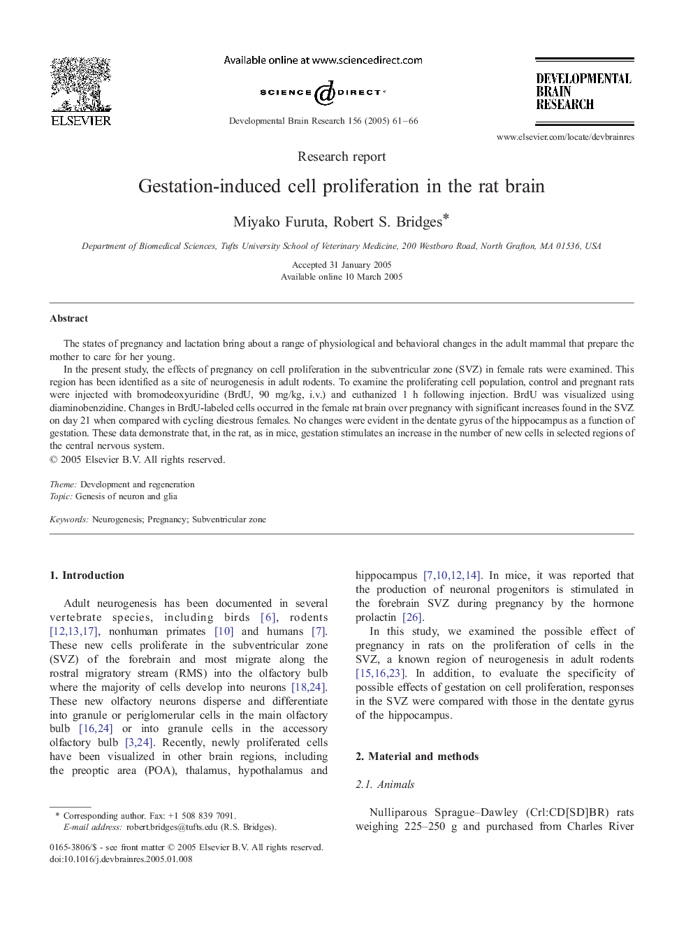 Gestation-induced cell proliferation in the rat brain