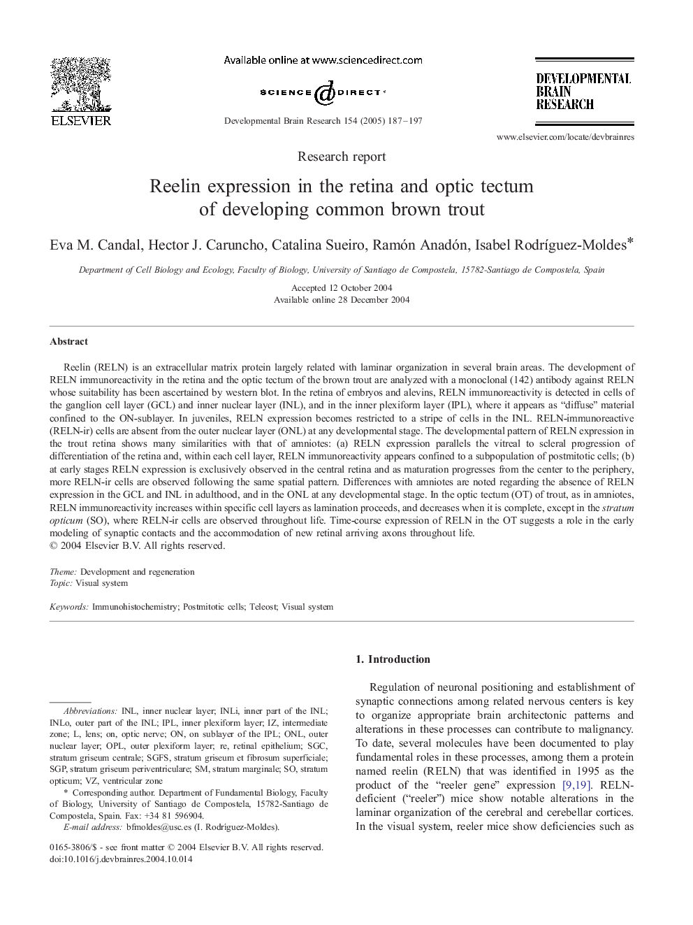 Reelin expression in the retina and optic tectum of developing common brown trout