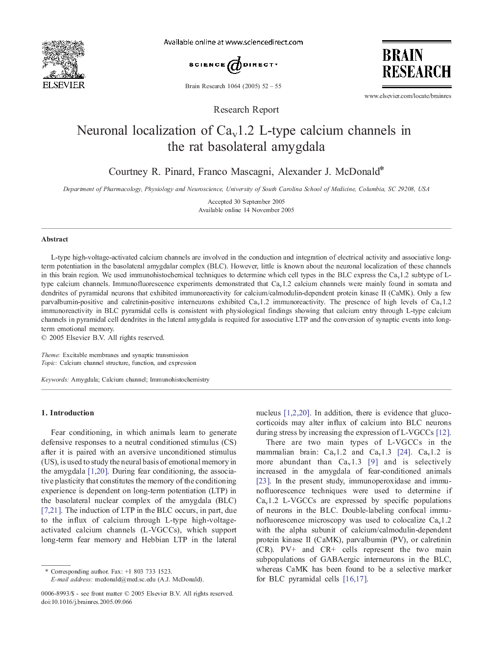 Neuronal localization of Cav1.2 L-type calcium channels in the rat basolateral amygdala