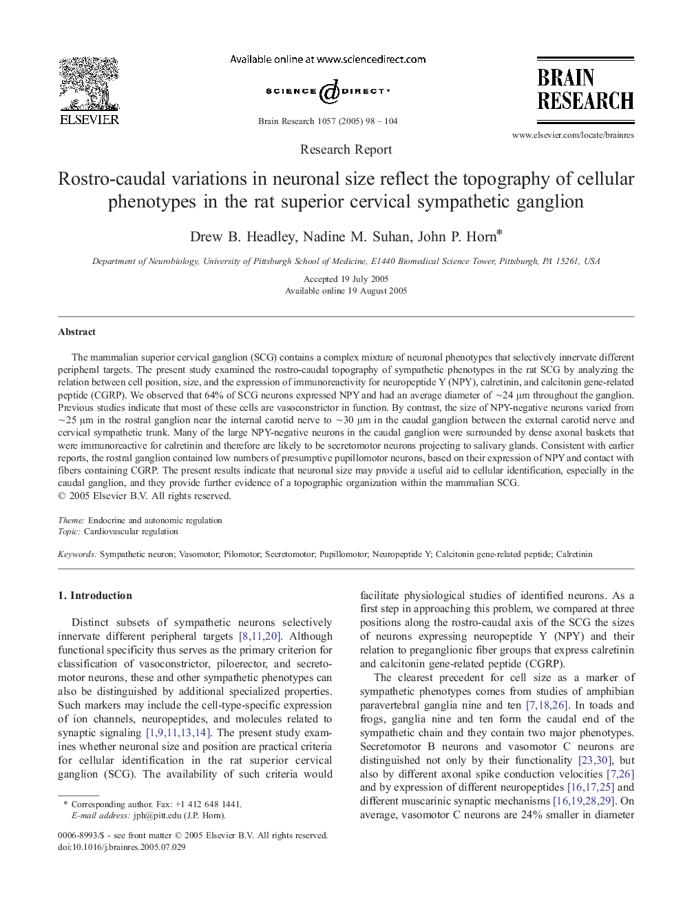 Rostro-caudal variations in neuronal size reflect the topography of cellular phenotypes in the rat superior cervical sympathetic ganglion