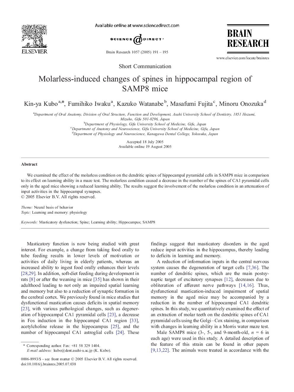 Molarless-induced changes of spines in hippocampal region of SAMP8 mice