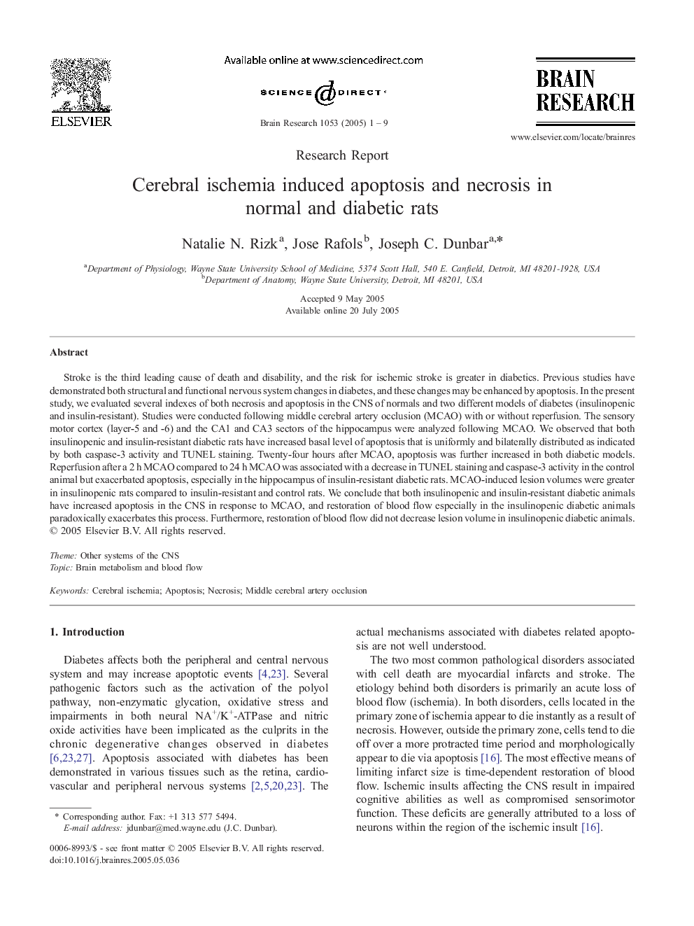 Cerebral ischemia induced apoptosis and necrosis in normal and diabetic rats