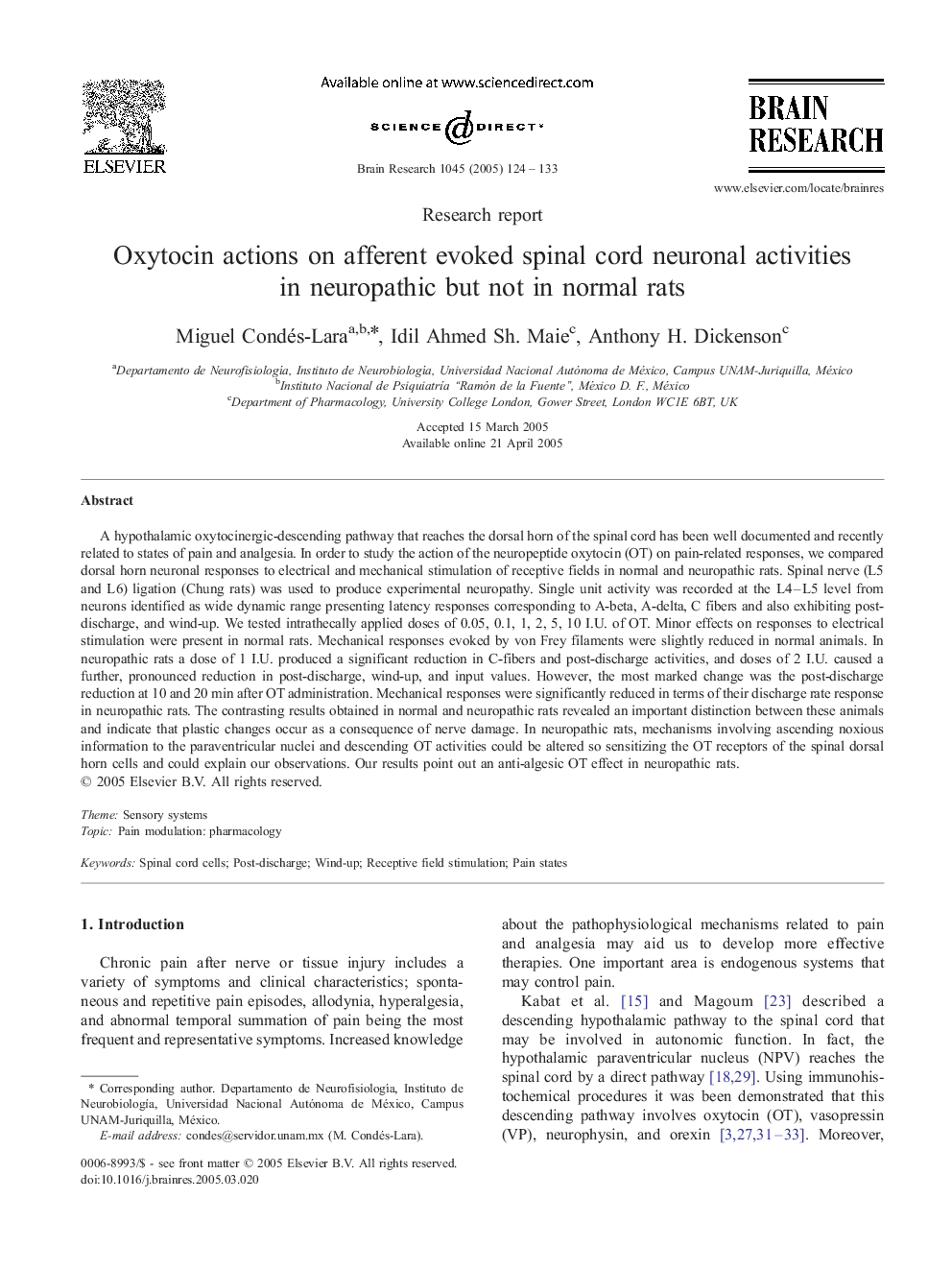 Oxytocin actions on afferent evoked spinal cord neuronal activities in neuropathic but not in normal rats