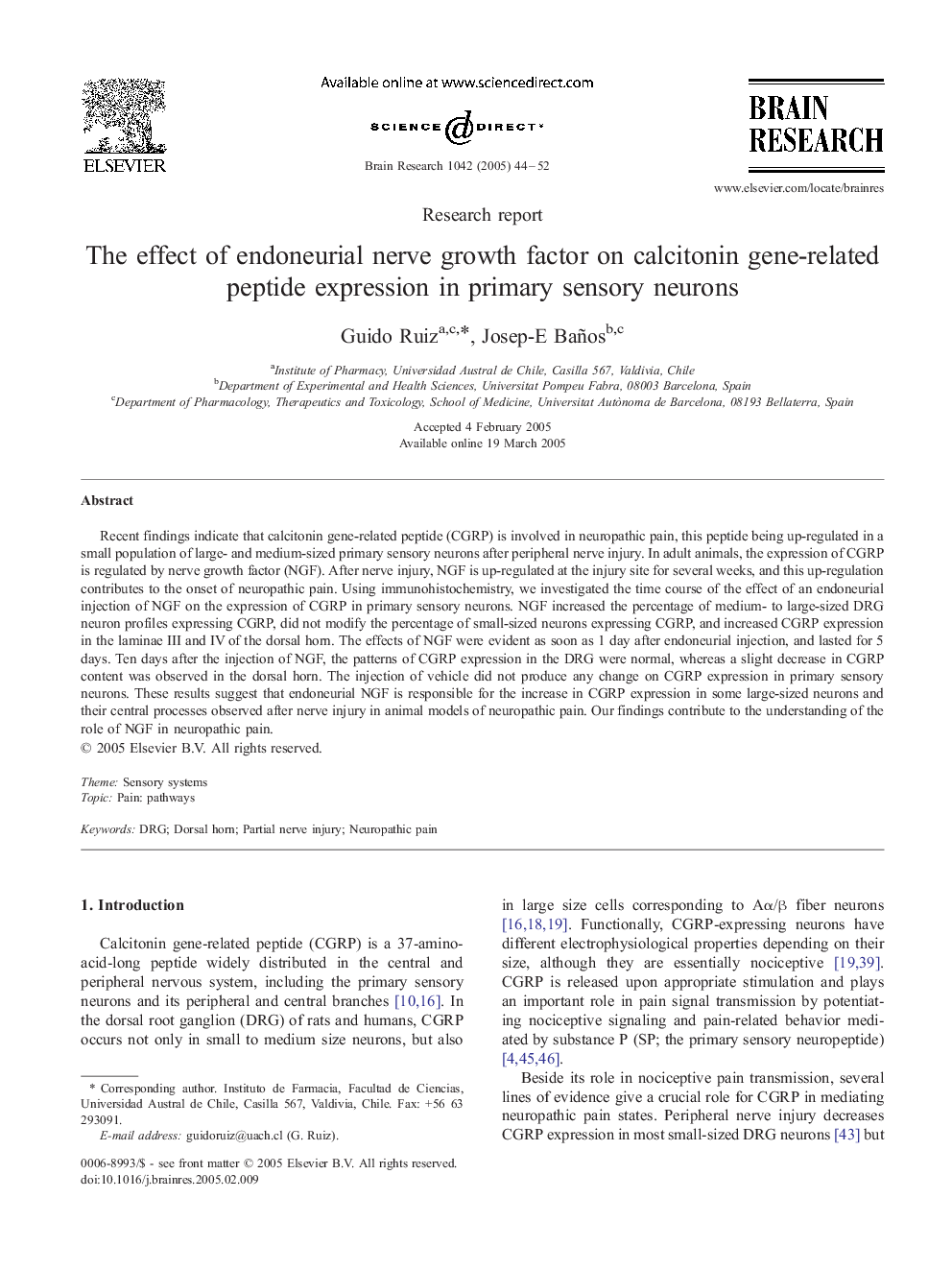 The effect of endoneurial nerve growth factor on calcitonin gene-related peptide expression in primary sensory neurons