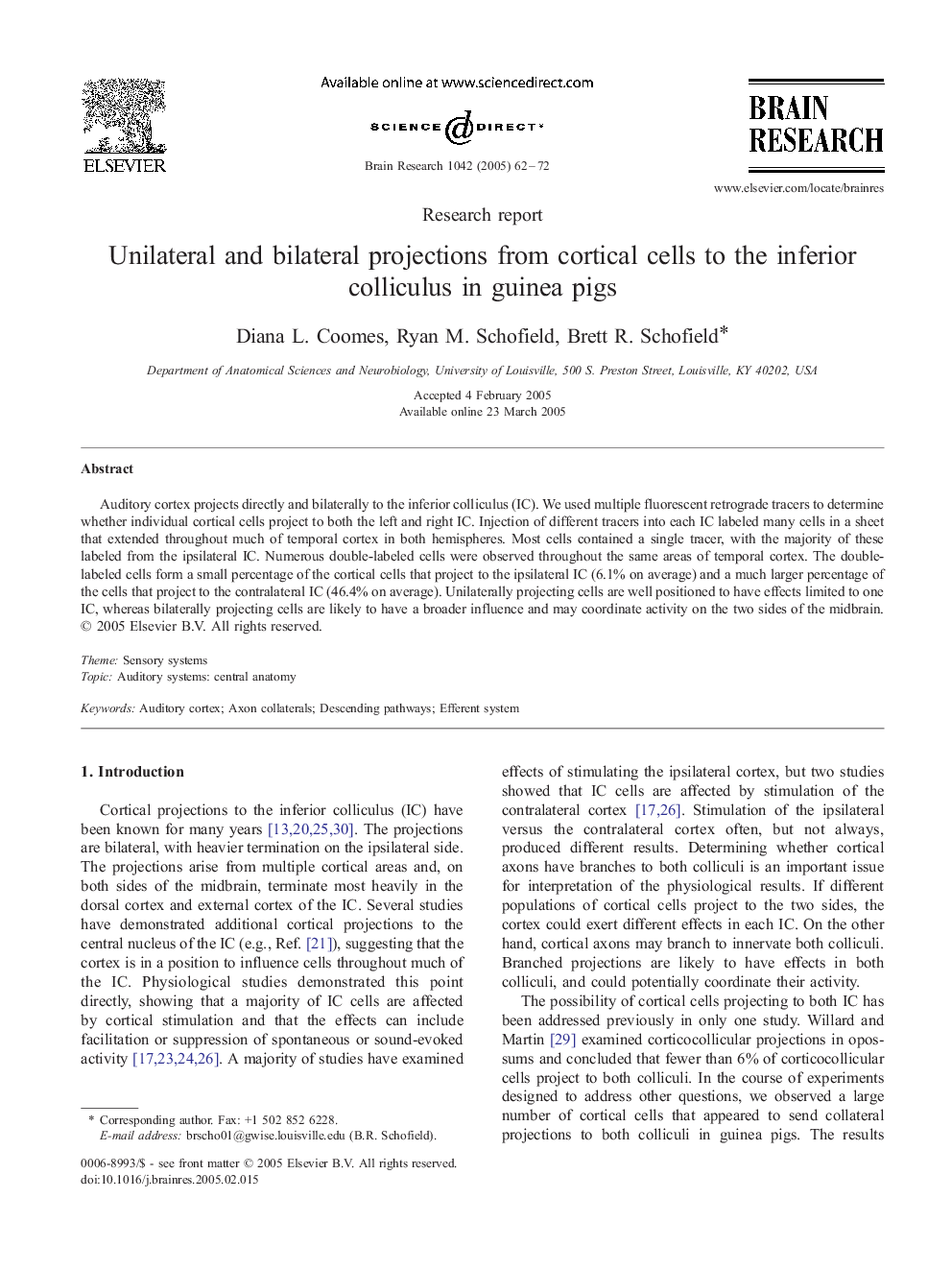 Unilateral and bilateral projections from cortical cells to the inferior colliculus in guinea pigs