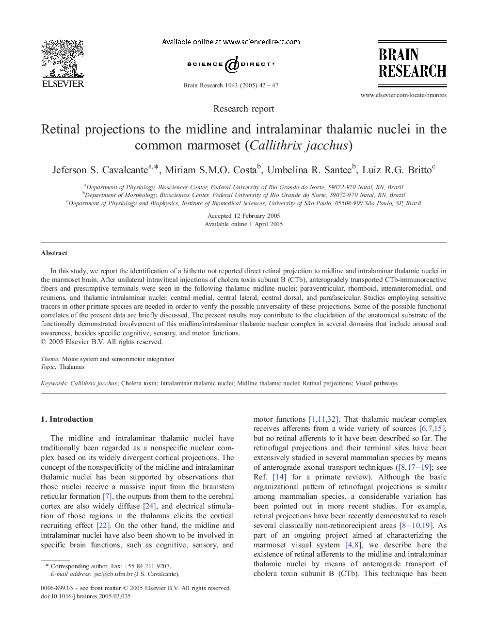 Retinal projections to the midline and intralaminar thalamic nuclei in the common marmoset (Callithrix jacchus)