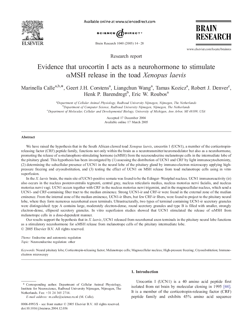 Evidence that urocortin I acts as a neurohormone to stimulate Î±MSH release in the toad Xenopus laevis