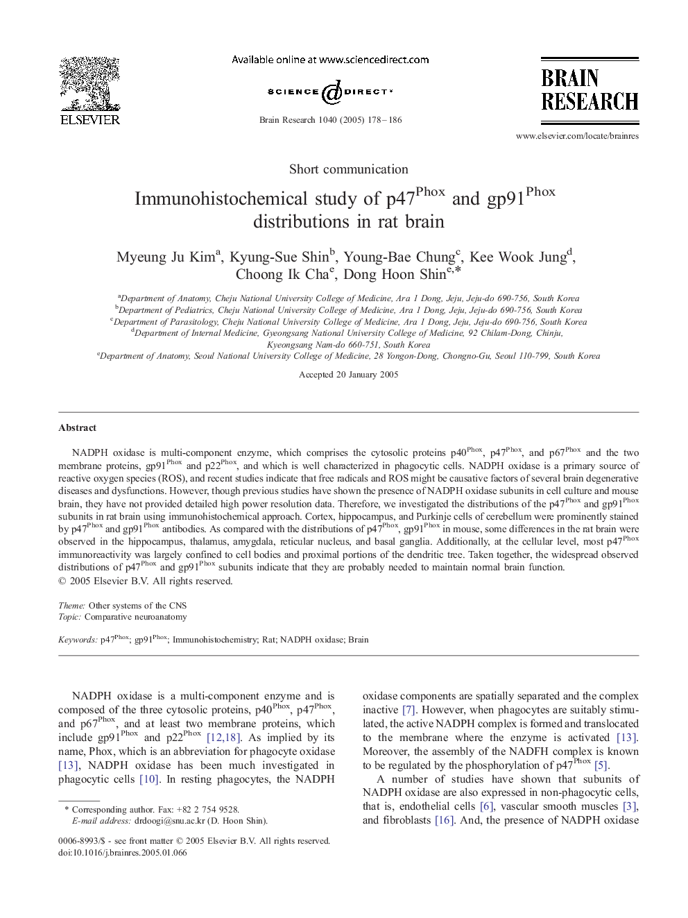 Immunohistochemical study of p47Phox and gp91Phox distributions in rat brain