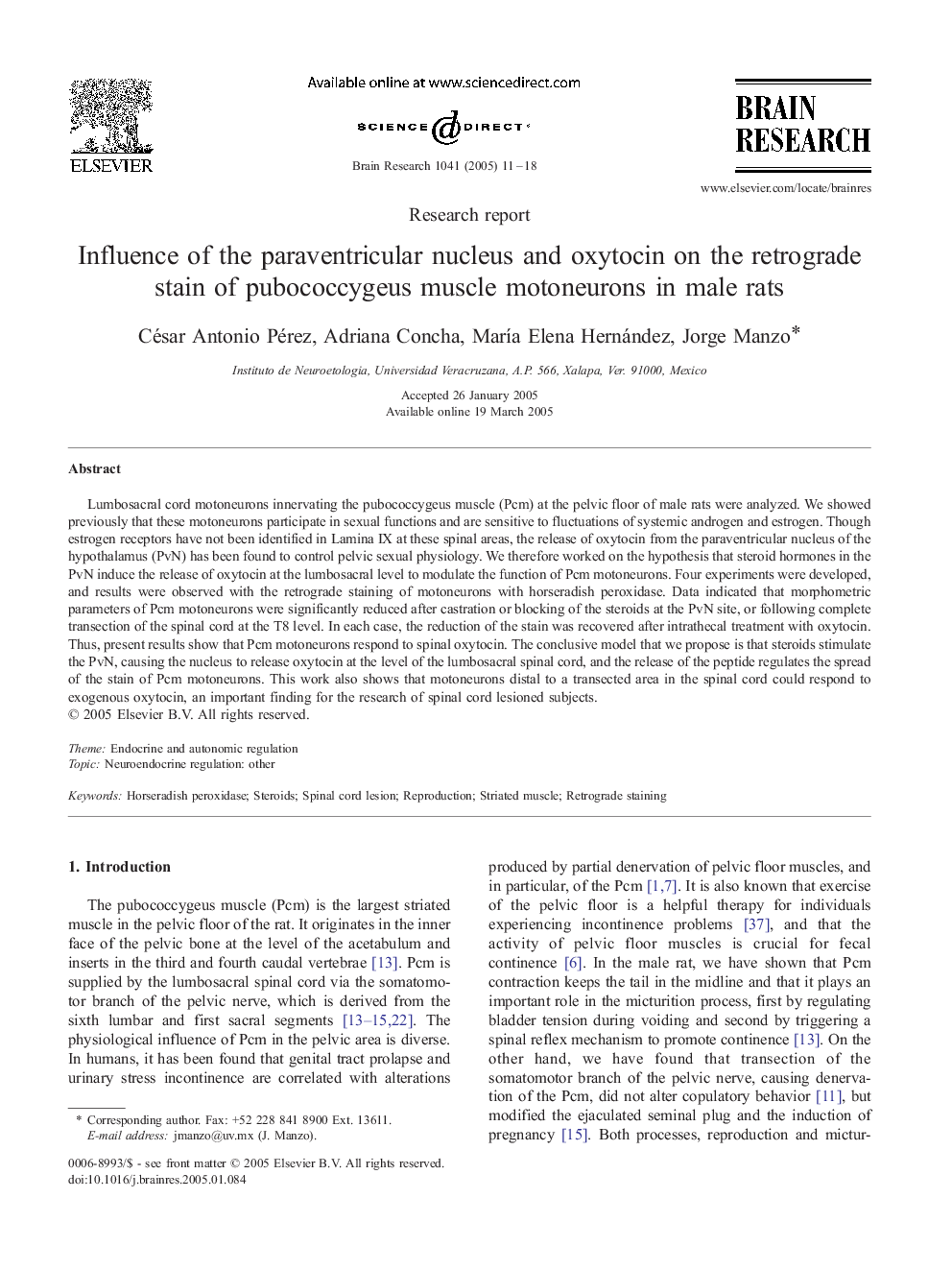 Influence of the paraventricular nucleus and oxytocin on the retrograde stain of pubococcygeus muscle motoneurons in male rats