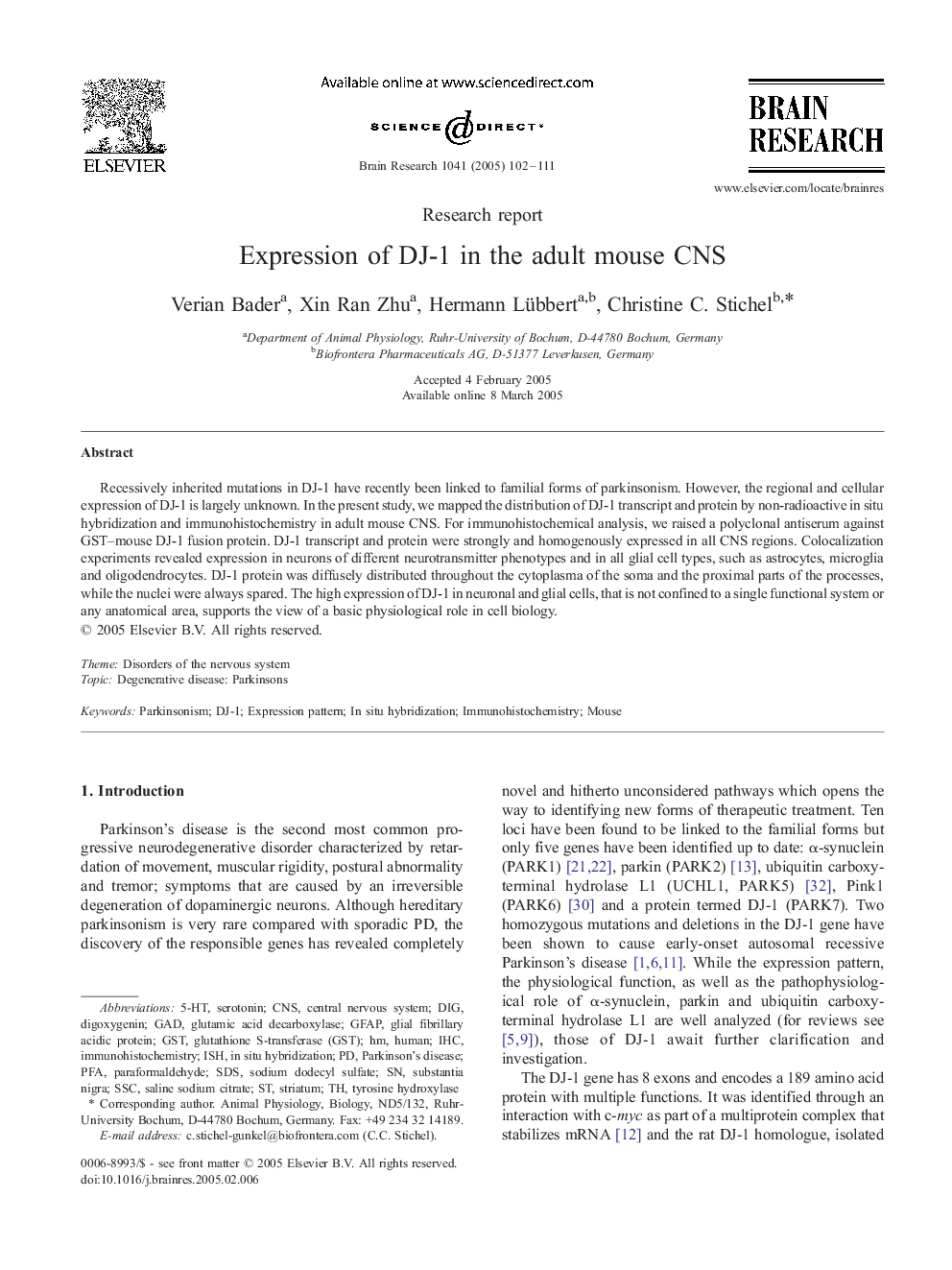 Expression of DJ-1 in the adult mouse CNS