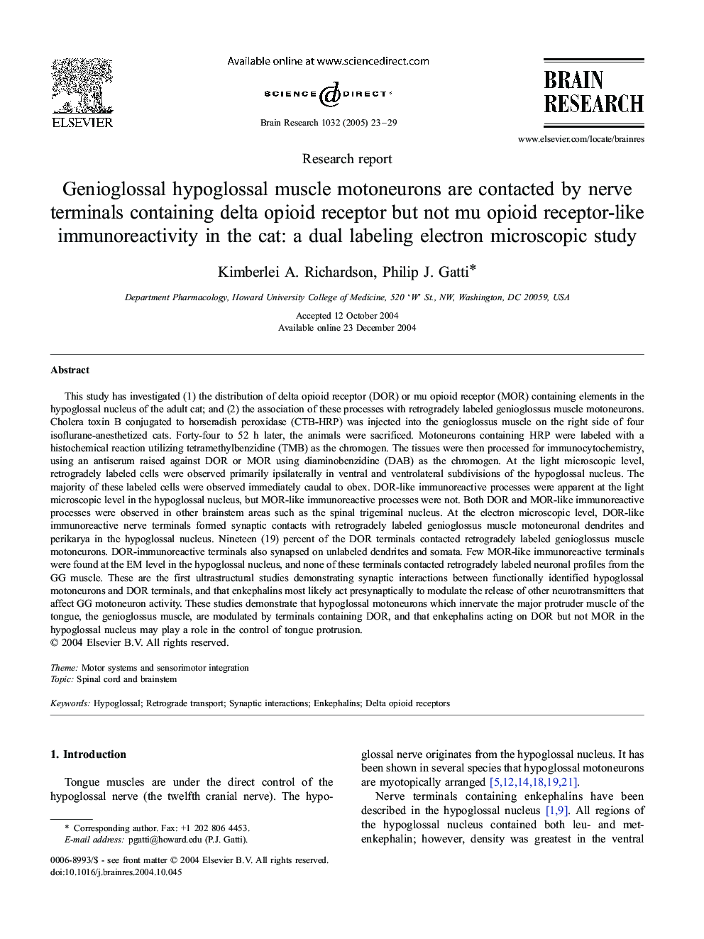 Genioglossal hypoglossal muscle motoneurons are contacted by nerve terminals containing delta opioid receptor but not mu opioid receptor-like immunoreactivity in the cat: a dual labeling electron microscopic study