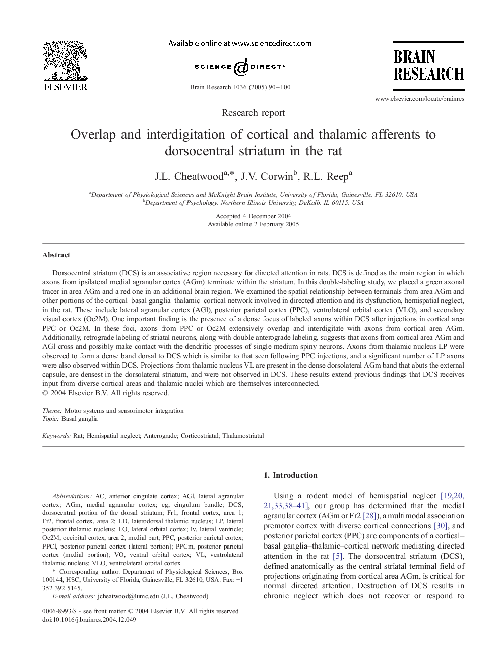 Overlap and interdigitation of cortical and thalamic afferents to dorsocentral striatum in the rat