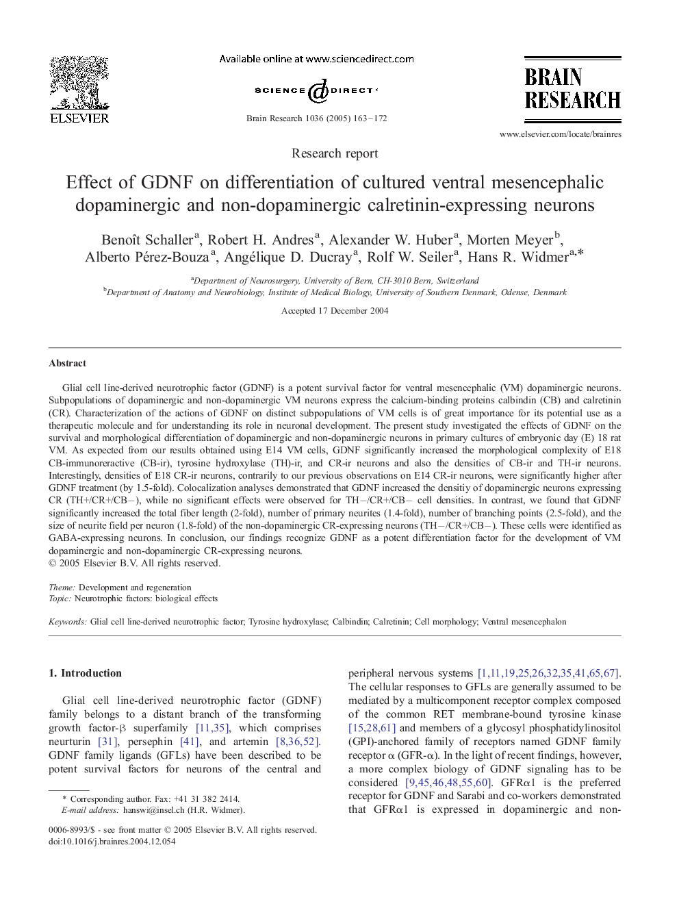 Effect of GDNF on differentiation of cultured ventral mesencephalic dopaminergic and non-dopaminergic calretinin-expressing neurons