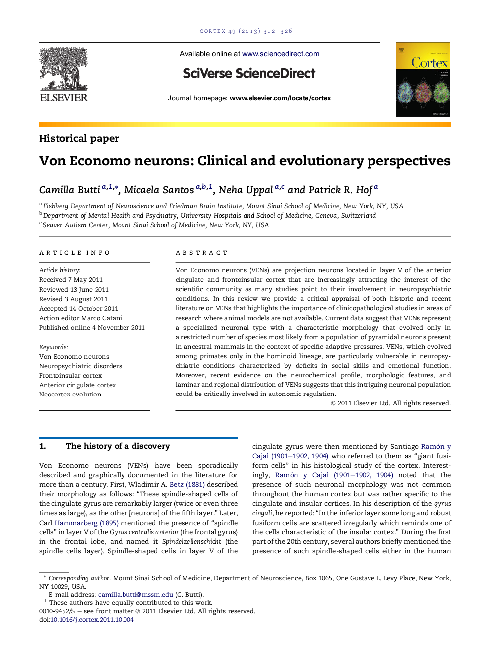 Von Economo neurons: Clinical and evolutionary perspectives