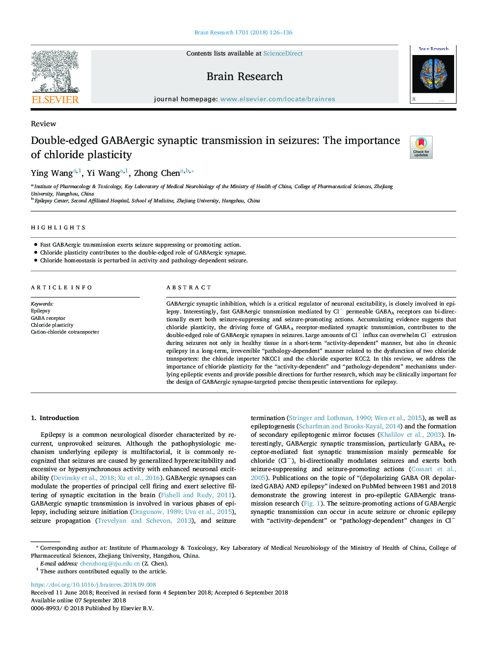 Double-edged GABAergic synaptic transmission in seizures: The importance of chloride plasticity