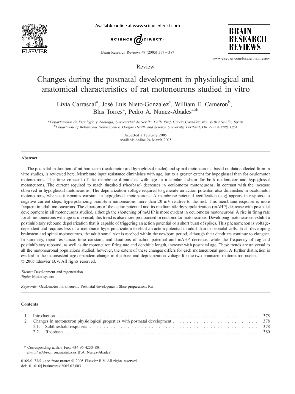 Changes during the postnatal development in physiological and anatomical characteristics of rat motoneurons studied in vitro