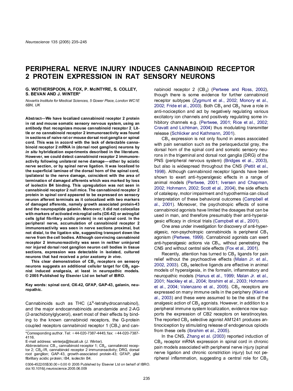 Peripheral nerve injury induces cannabinoid receptor 2 protein expression in rat sensory neurons