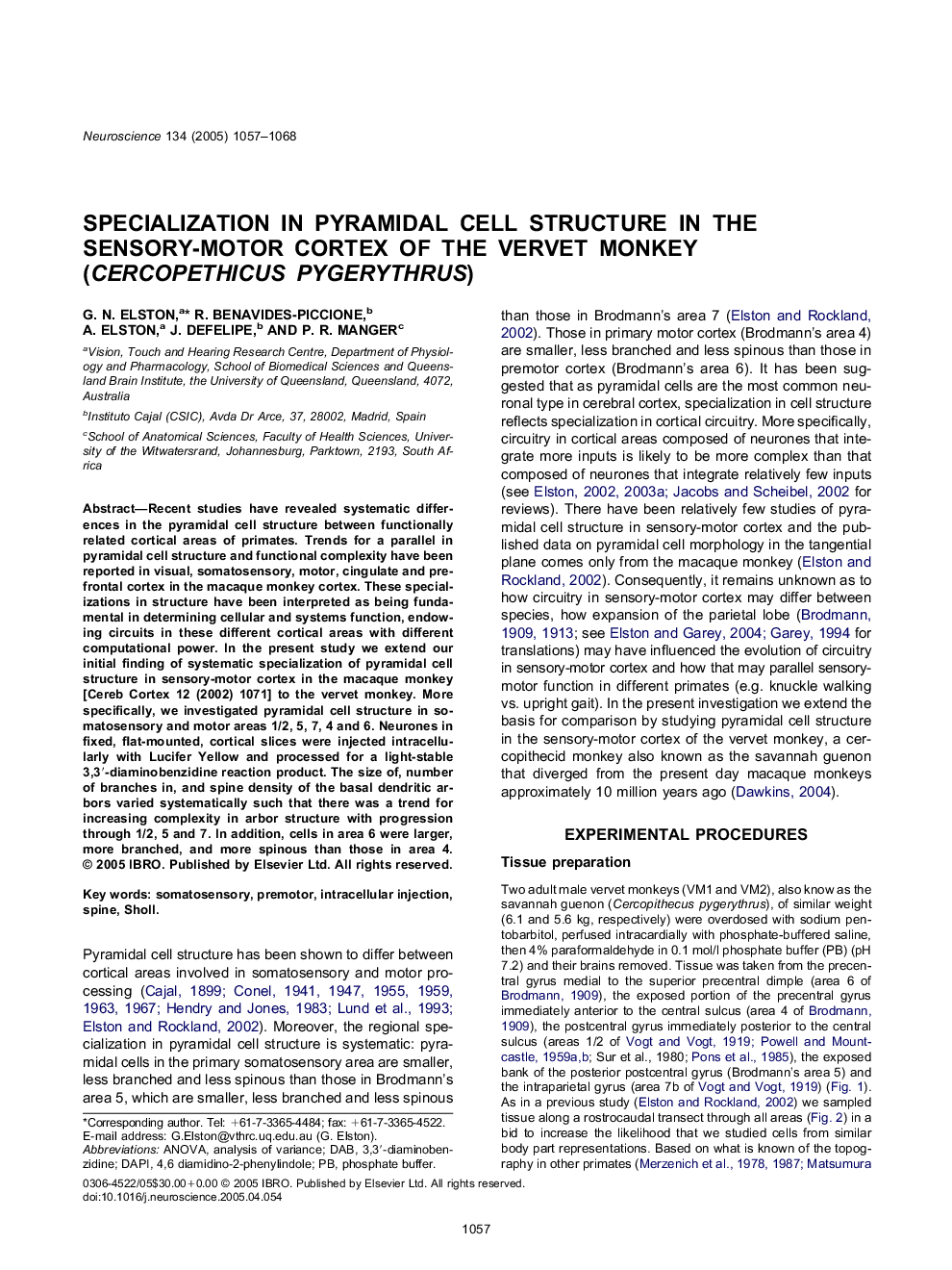 Specialization in pyramidal cell structure in the sensory-motor cortex of the vervet monkey (Cercopethicus pygerythrus)