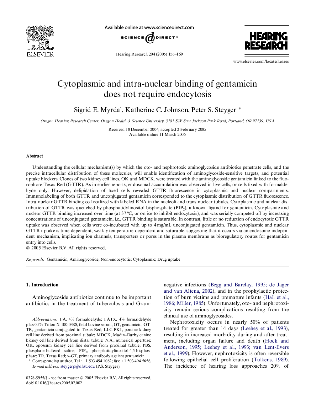 Cytoplasmic and intra-nuclear binding of gentamicin does not require endocytosis