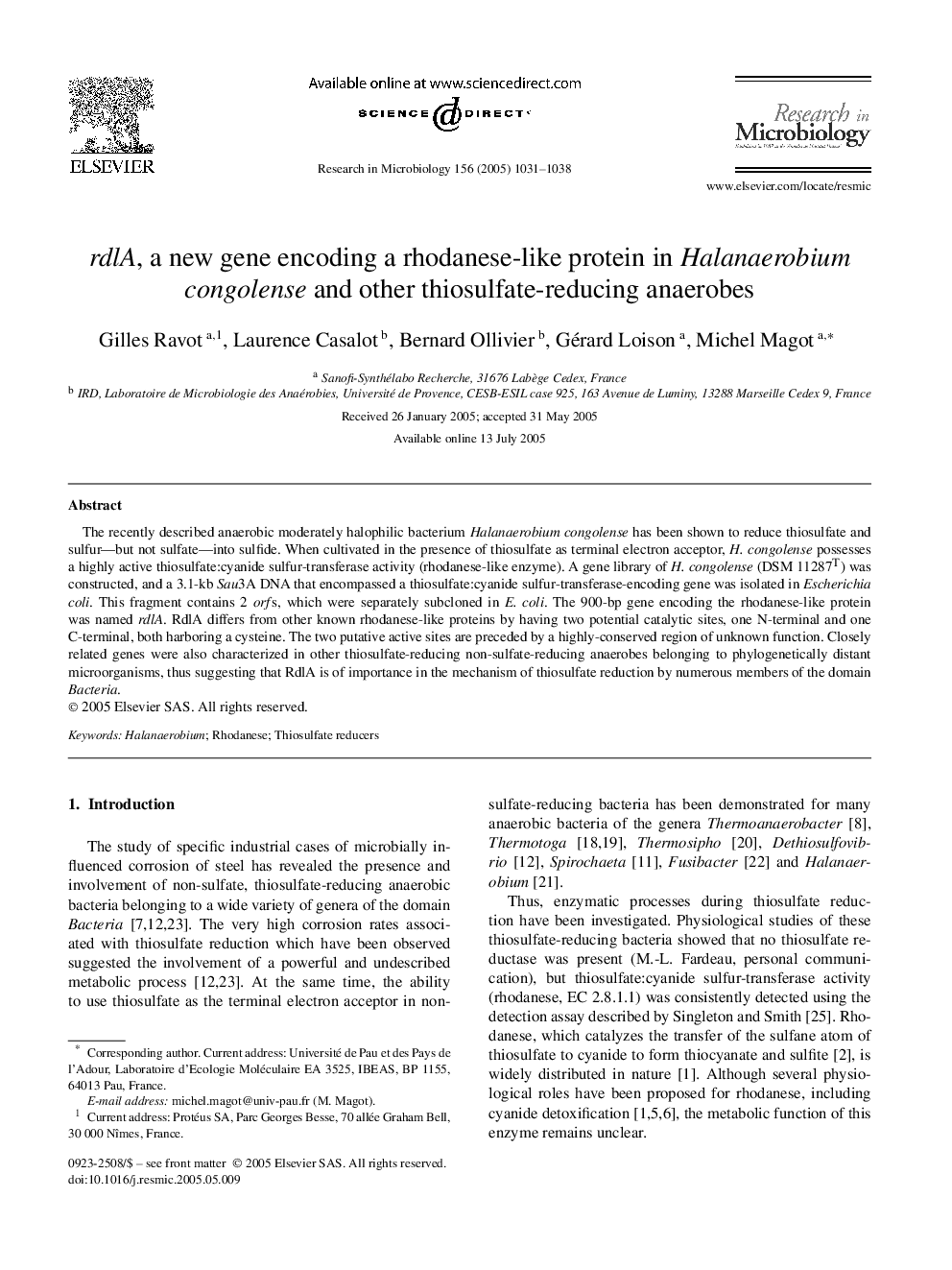 rdlA, a new gene encoding a rhodanese-like protein in Halanaerobium congolense and other thiosulfate-reducing anaerobes