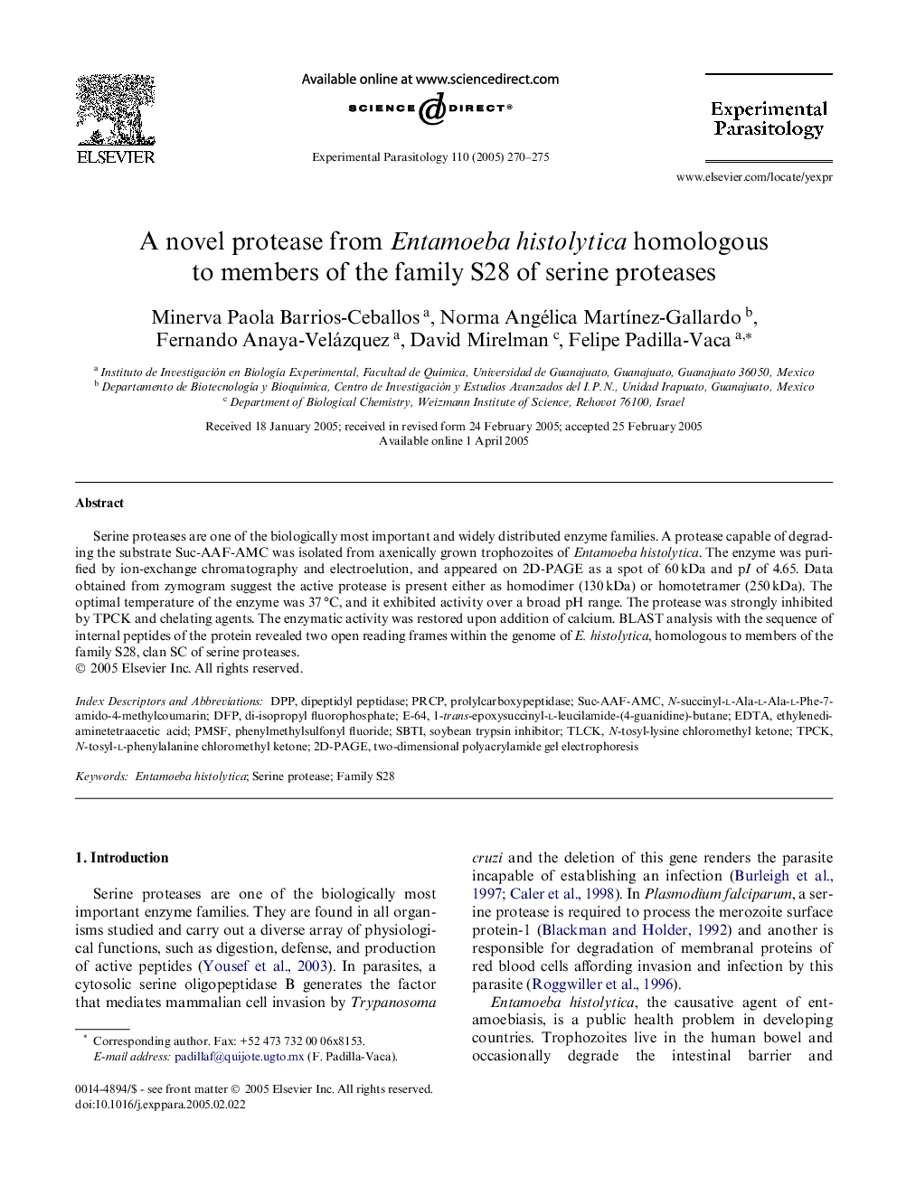 A novel protease from Entamoeba histolytica homologous to members of the family S28 of serine proteases