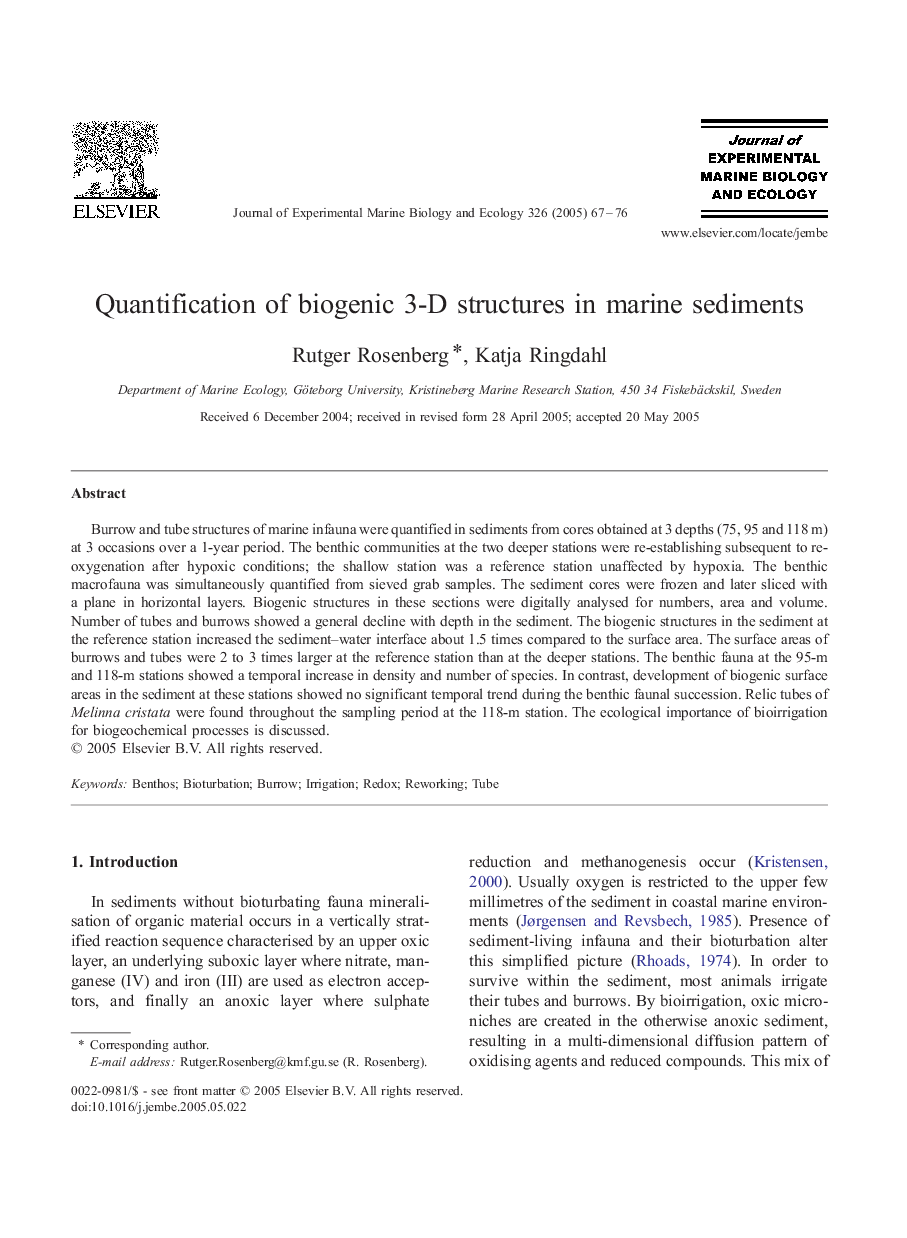 Quantification of biogenic 3-D structures in marine sediments