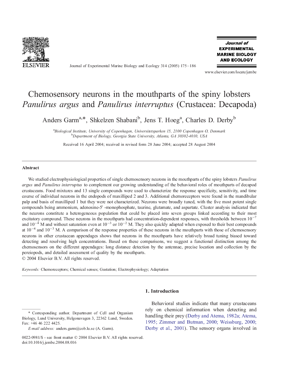 Chemosensory neurons in the mouthparts of the spiny lobsters Panulirus argus and Panulirus interruptus (Crustacea: Decapoda)